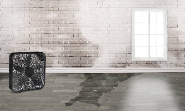 Best Sewage cleanup and water damage restoration  in Timberwood Park, TX