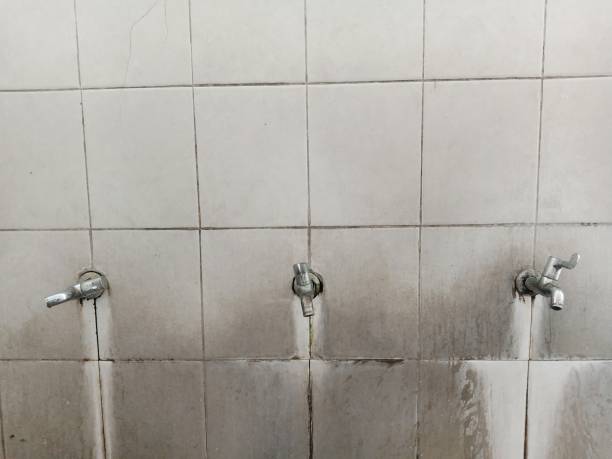 Best Commercial water damage restoration  in Timberwood Park, TX
